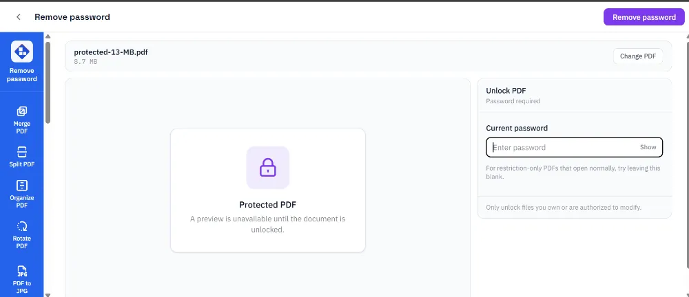 Remove password tool showing the locked PDF placeholder icon and the password input field with a Password required status label